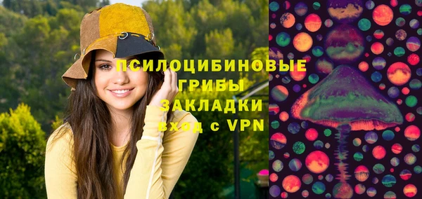 ГАЛЛЮЦИНОГЕННЫЕ ГРИБЫ Балахна