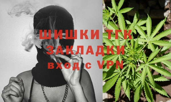 ГАЛЛЮЦИНОГЕННЫЕ ГРИБЫ Балахна