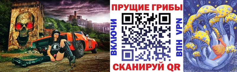 ссылка на мегу tor  Белокуриха  Псилоцибиновые грибы GOLDEN TEACHER  магазин   