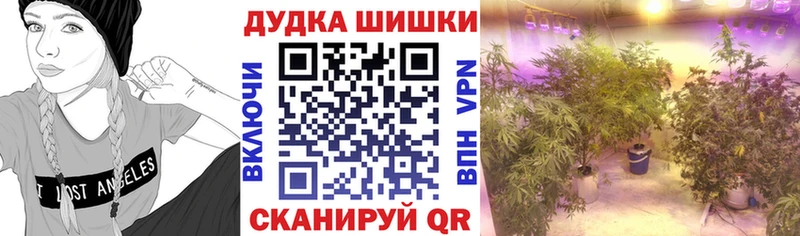 хочу   Белокуриха  Шишки марихуана Amnesia 